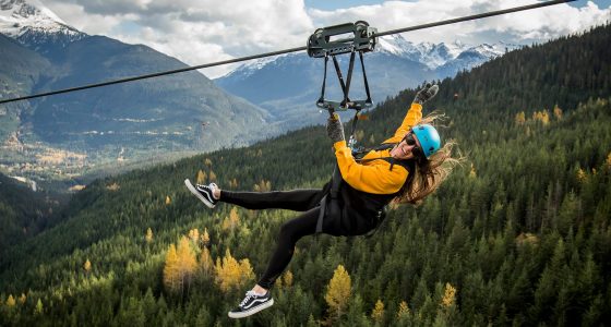 stay-and-zipline